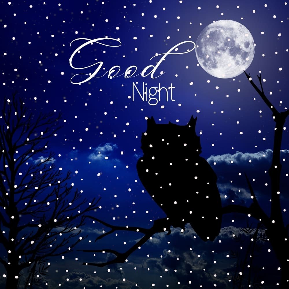 good-night-images-hd1 Owl in night