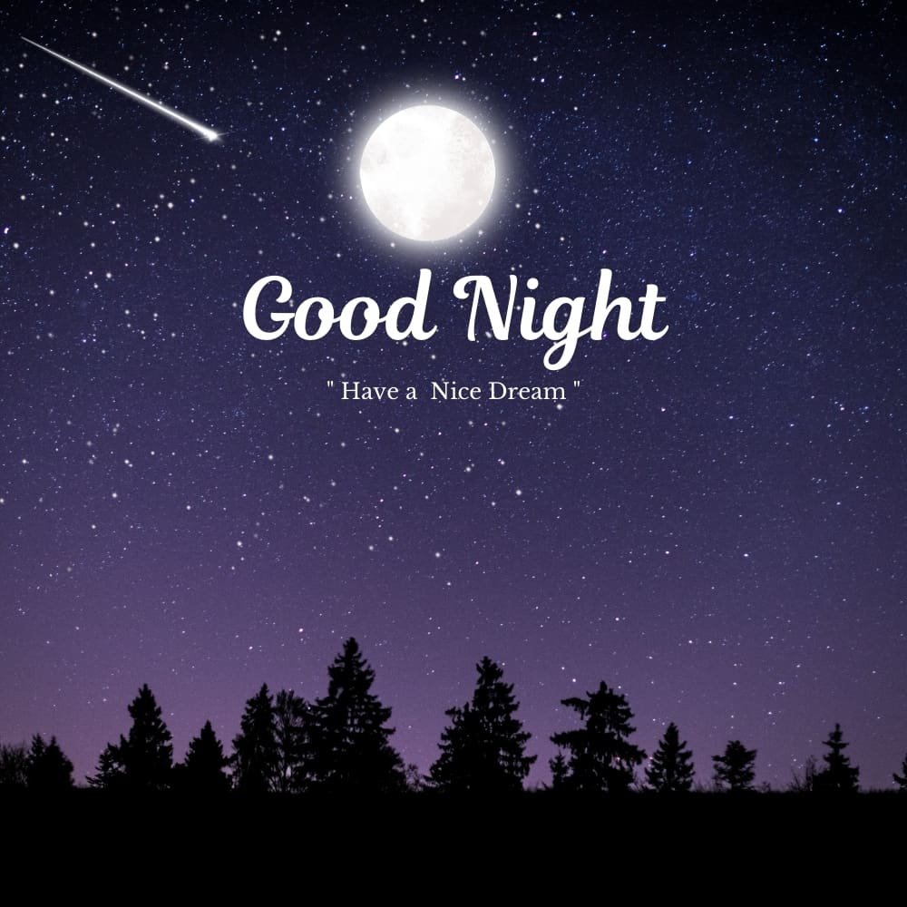 good-night3 Black forest night